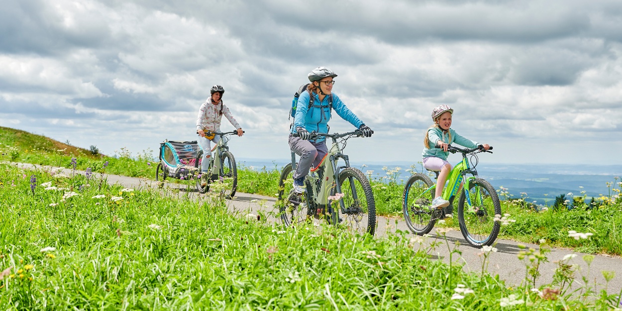 Easy Mountain Bike Tour